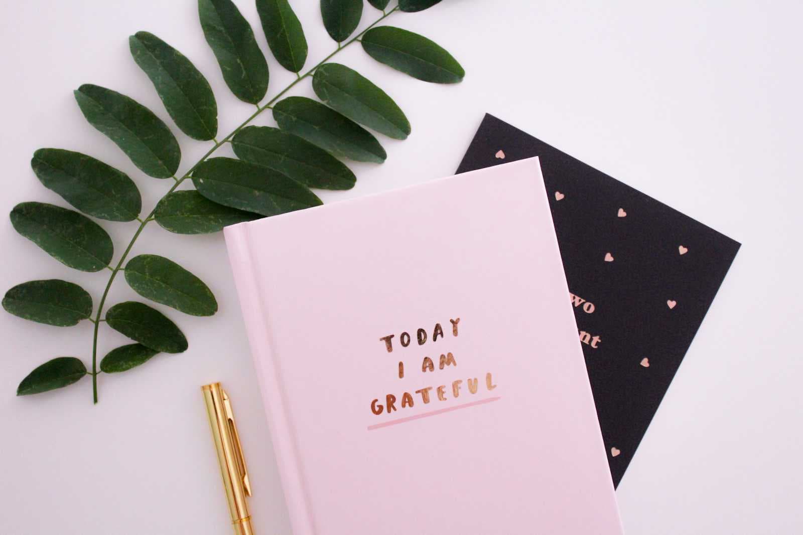 Transforming My Life: How a Daily Planner Revolutionized My Routine (and How It Can Change Yours Too)