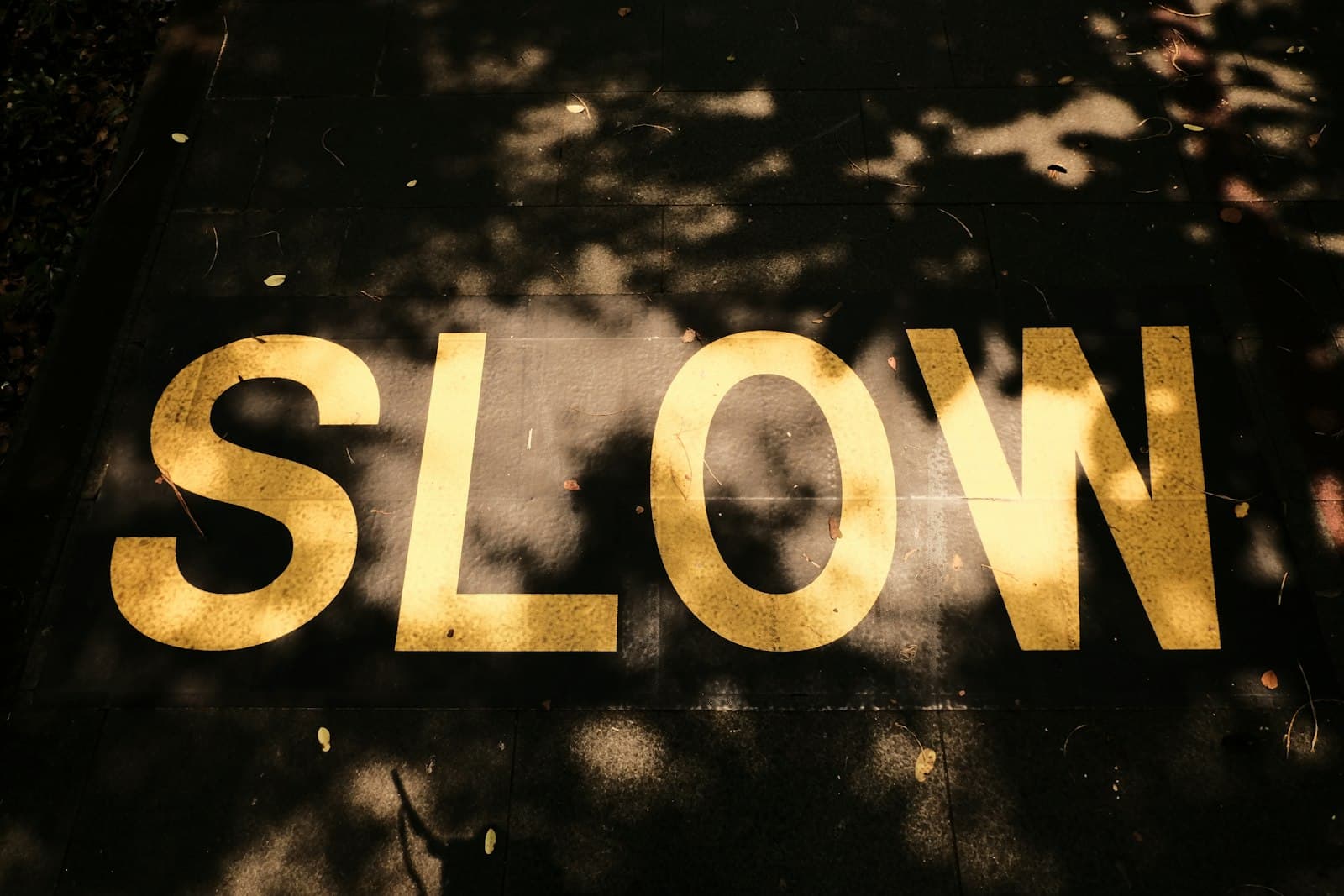 Why your search bar is slow (and it's probably not the reason you think)